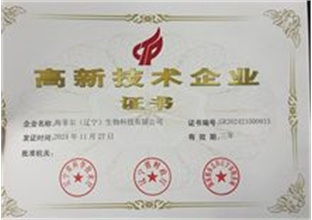 海菲尔企业荣誉证书