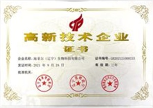 海菲尔企业荣誉证书